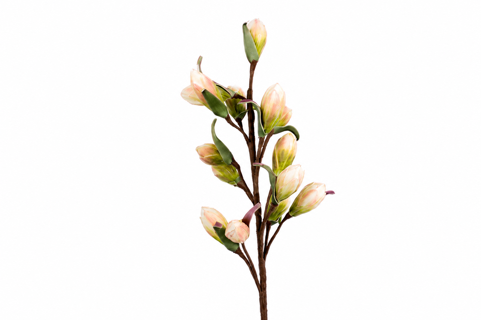 CVET - DECORATION 100cm