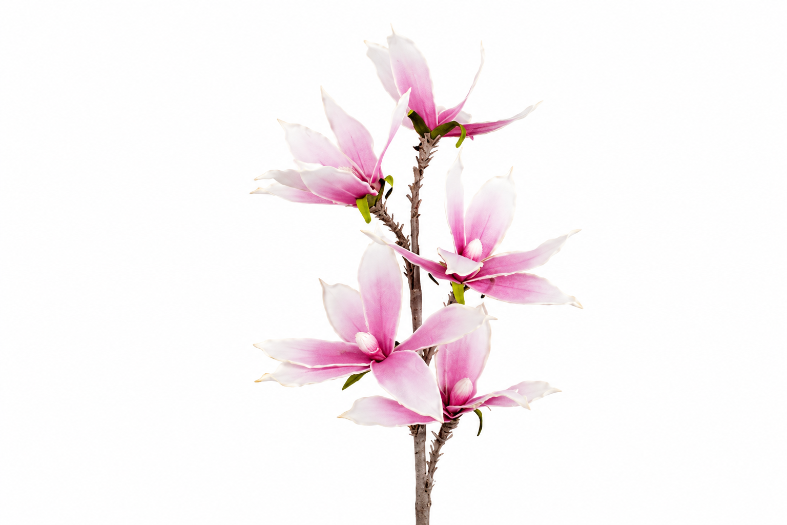 CVET - DECORATION 100cm