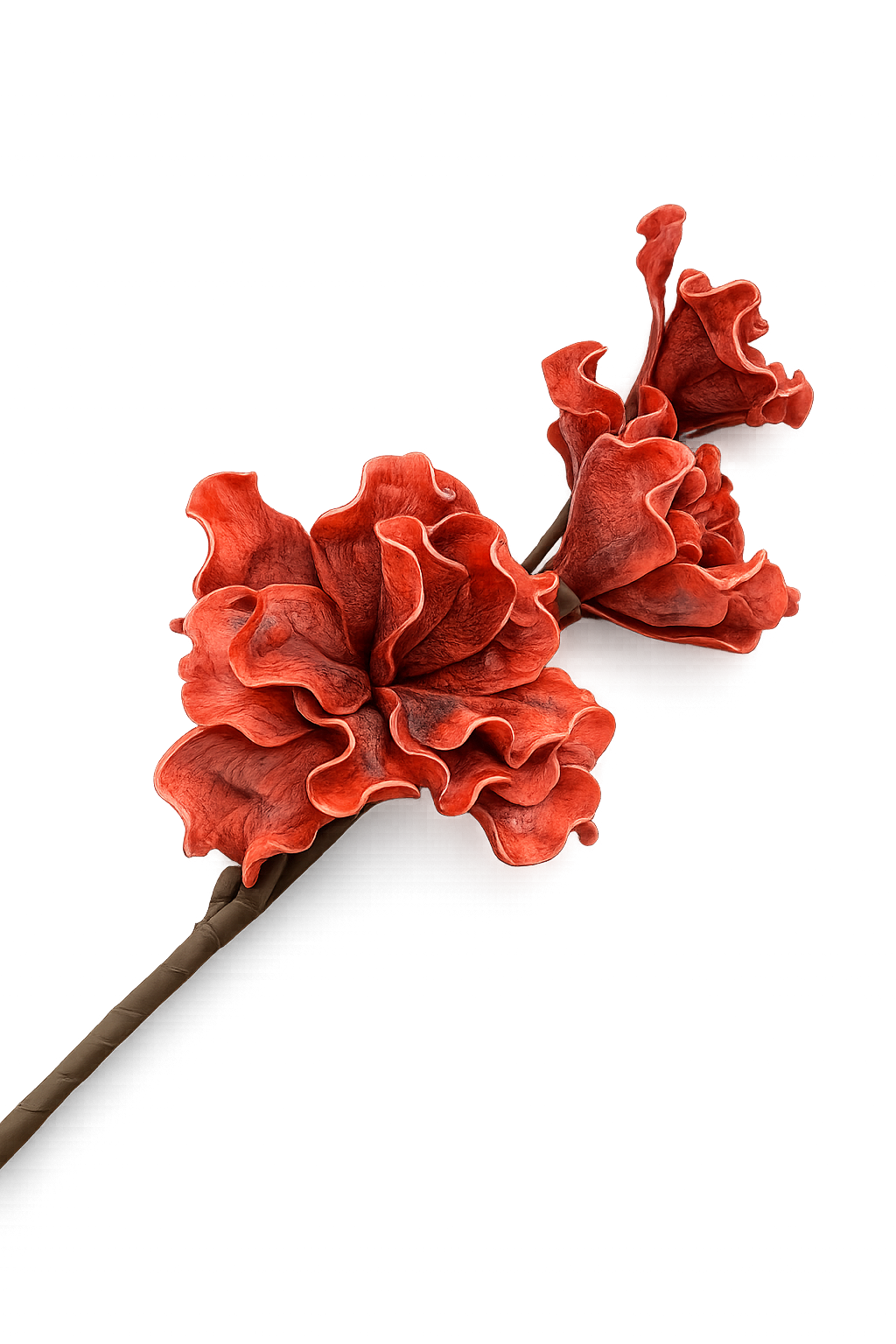 CVET - decoration