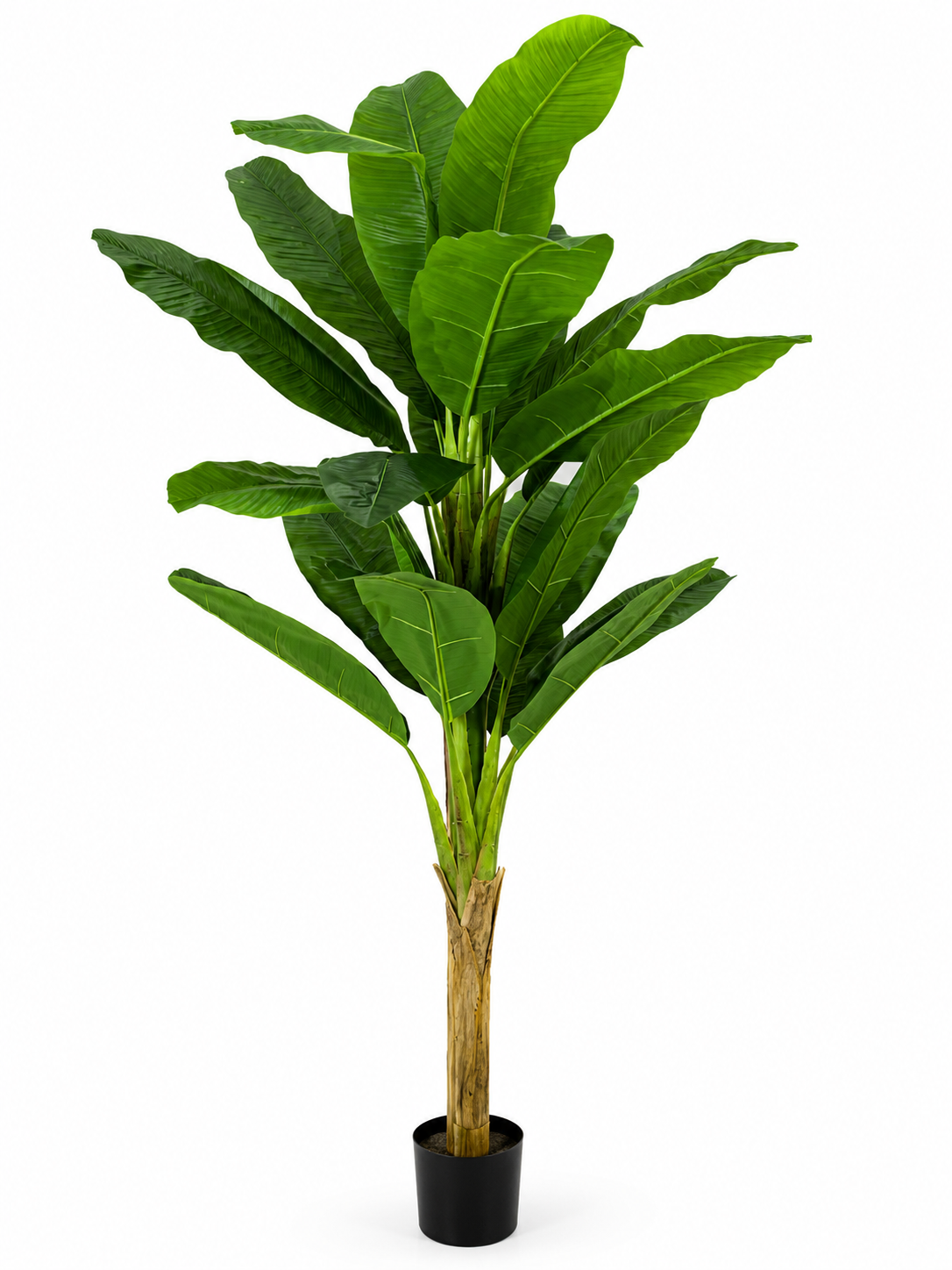 DEKORACIJA BANANA TREE 210CM