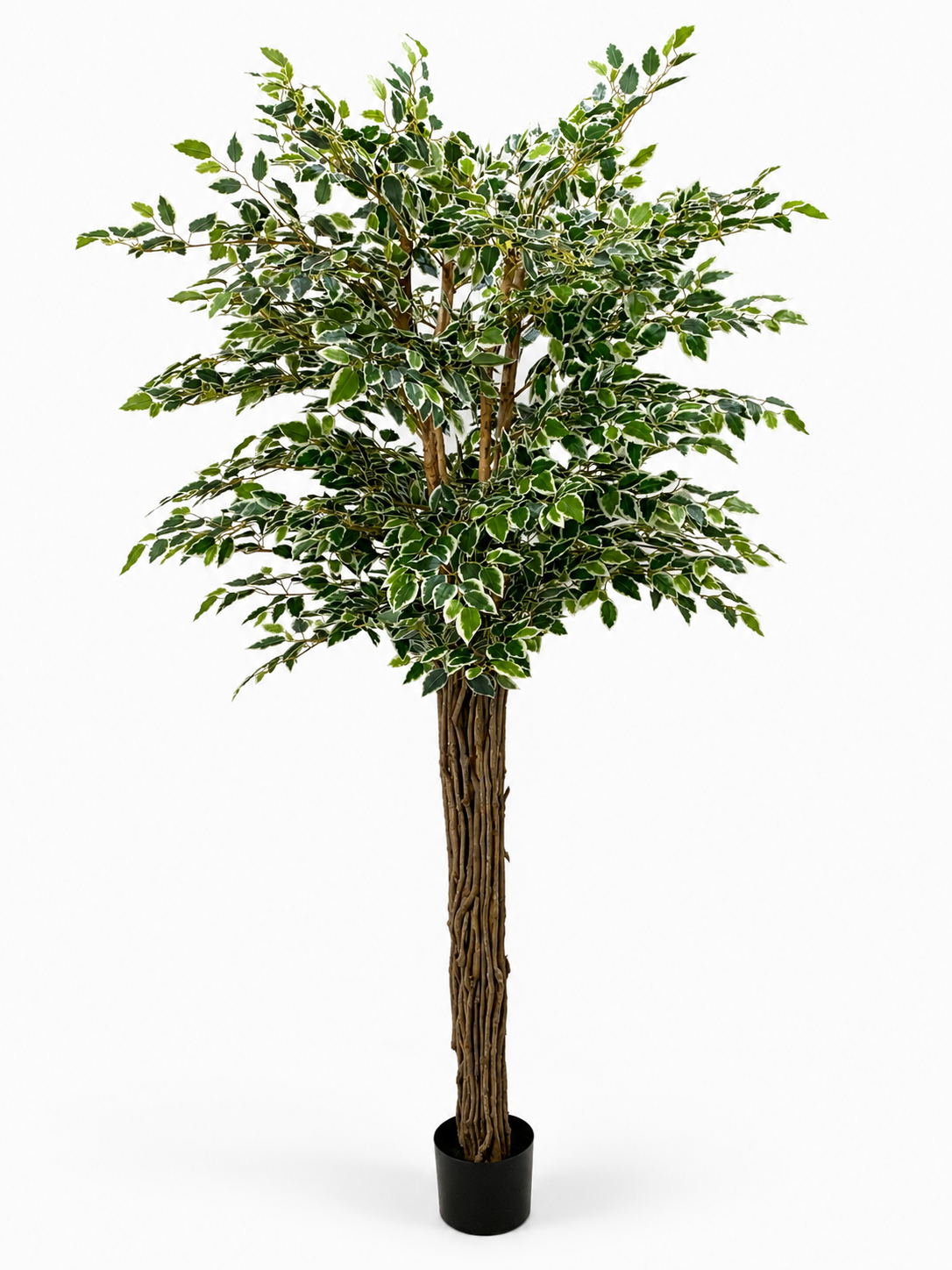 DEKORACIJA FICUS TREE 180 