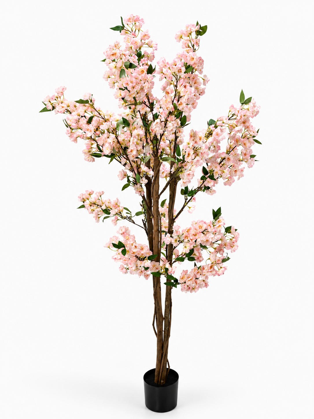 DEKORACIJA CHERRY BLOSSOM TREE 180CM