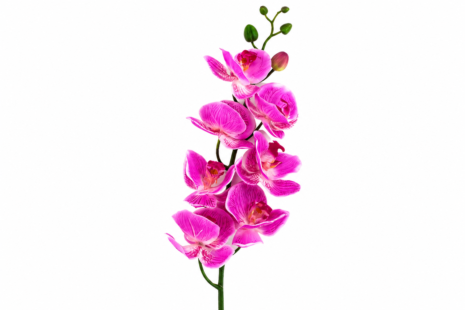 CVET - DECORATION 90cm