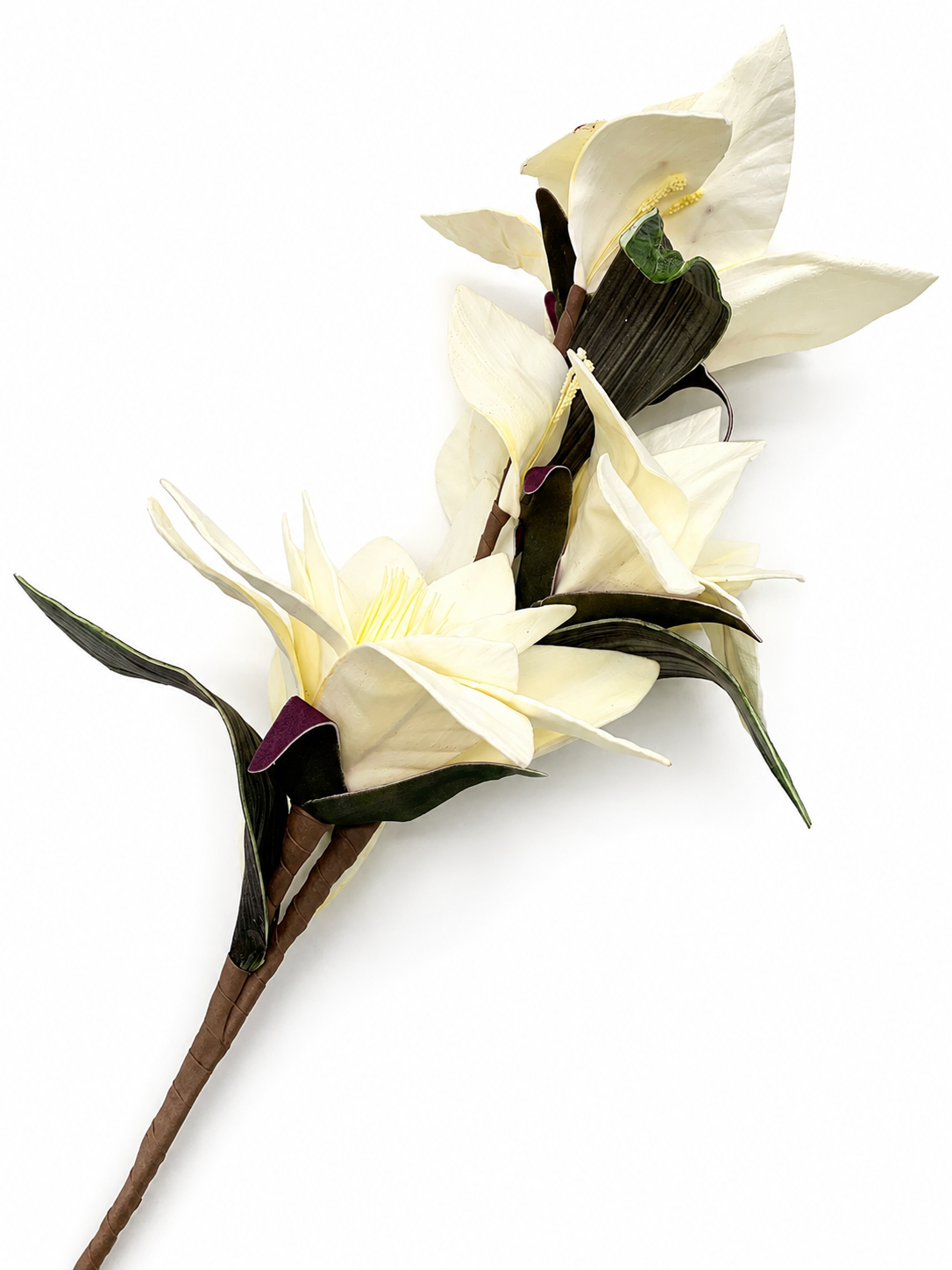 CVET - decoration